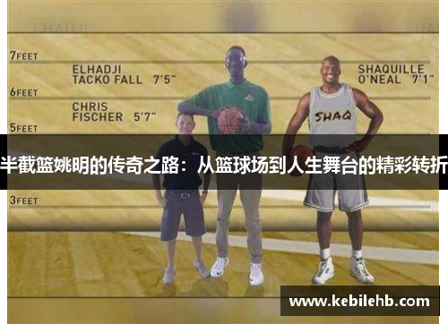 半截篮姚明的传奇之路：从篮球场到人生舞台的精彩转折